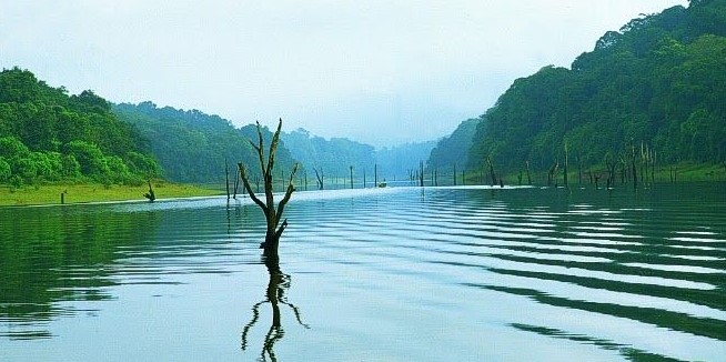 luxuryresortsinthekkady