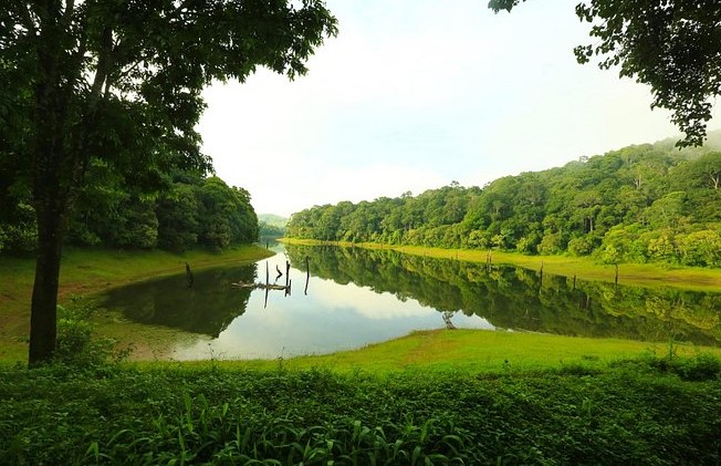 resortsinthekkady
