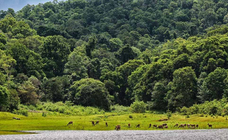 resortsinthekkady