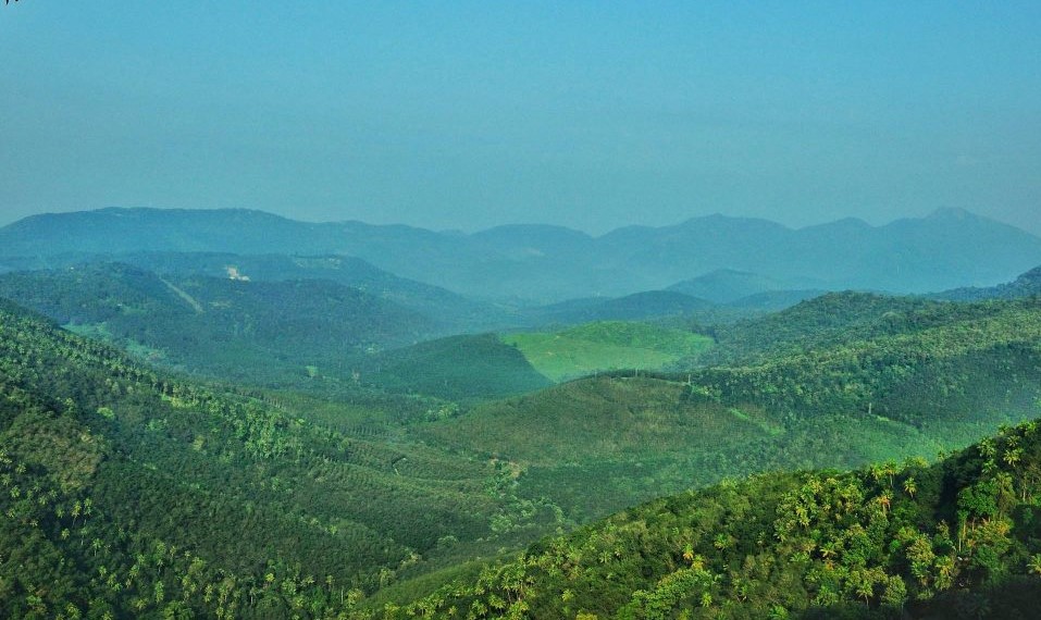 premiumhotelsinkerala