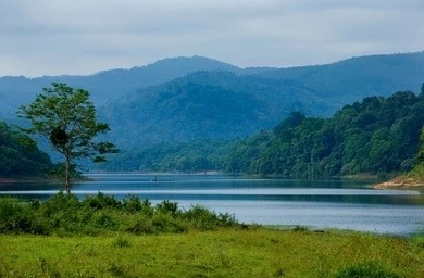 premium hotels in Thekkady for family